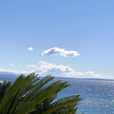 Lejlighed Welcoming In Novigrad, 40 M² With Peaceful Garden *