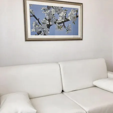 Lejlighed Welcoming In Novigrad, 40 M² With Peaceful Garden