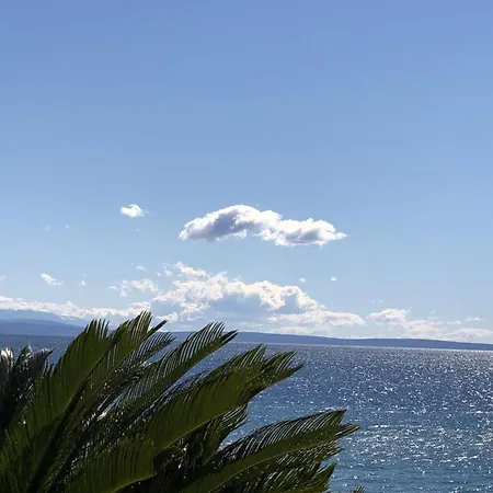 Lejlighed Welcoming In Novigrad, 40 M² With Peaceful Garden Novigrad Istria